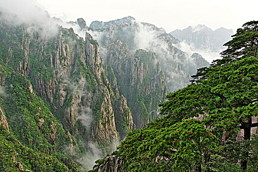 放水里无色无味的舂药C1B8D97C5-18975